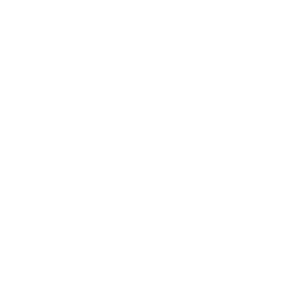 business report 8155072