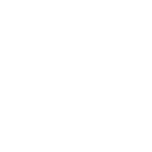 business report 8155074