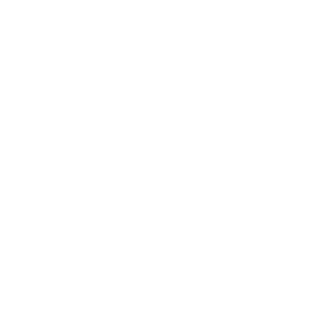 business report 8155083